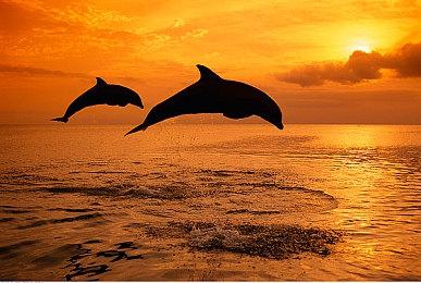 入仙山耕灵田《一方灵田》抢先体验版今日上线