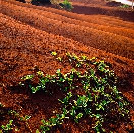 2023 GBF春晚《碧蓝幻想》Fes定于12＆23-24进行